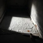 Фото по теме: Ошибки при приклеивании линолеума к стяжке.